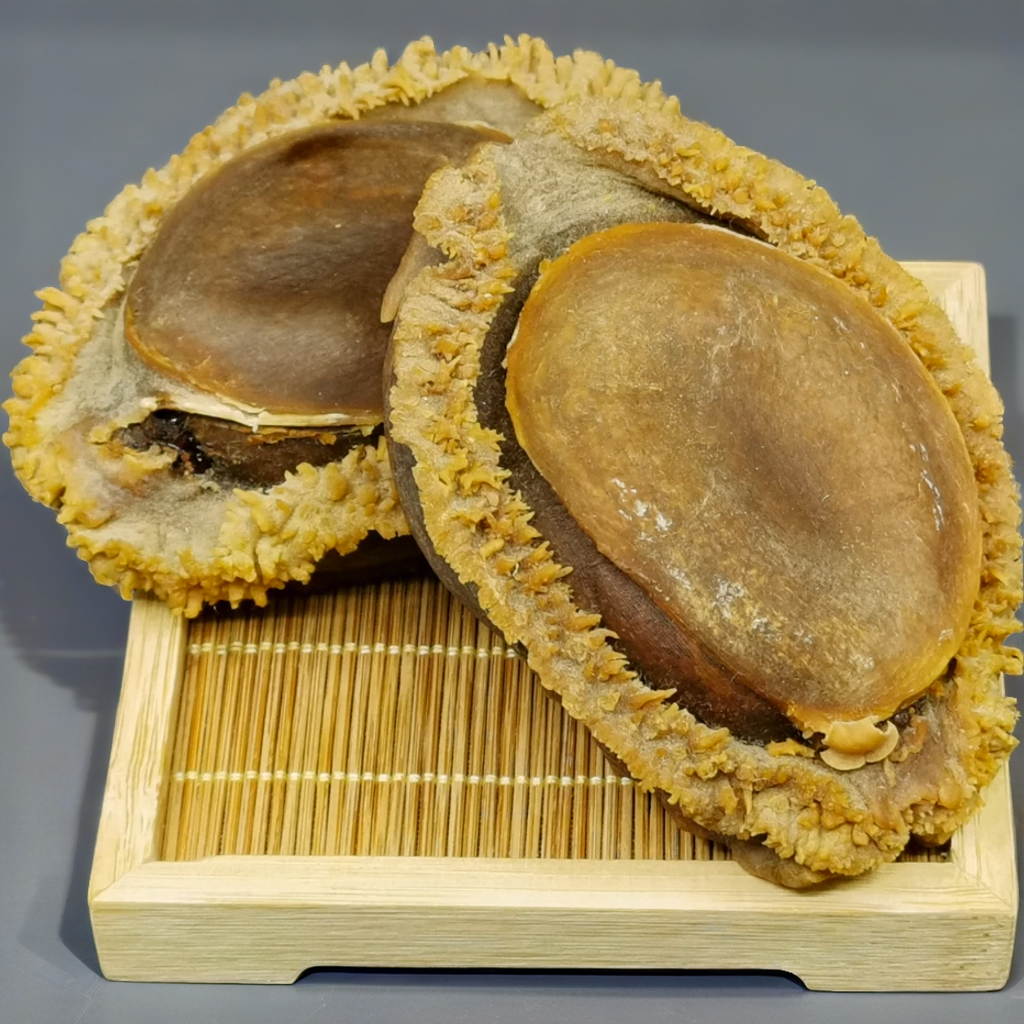 南非溏心鮑魚(605克)